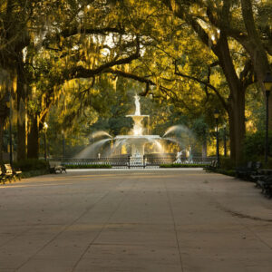 Savannah